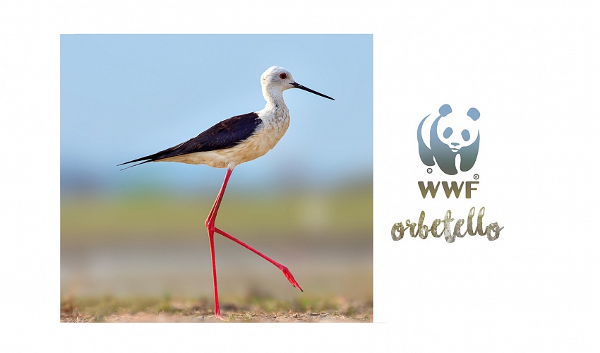 WWF Naturoase Orbetello